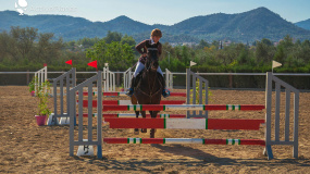 Equestrian gatherings in Cyprus